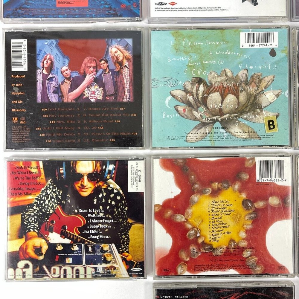 90s Alternative Pop Rock 13 CD Bundle Alanis Garbage Bosstones Gin Kravitz Toad - Picture 5 of 7